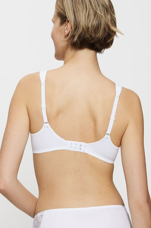  Soft model 229108 Triumph 