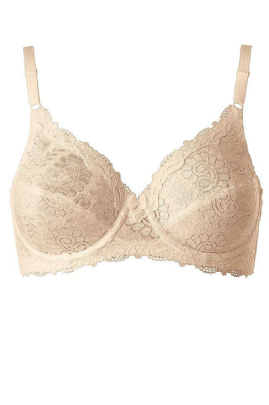  Soft model 229505 Triumph 