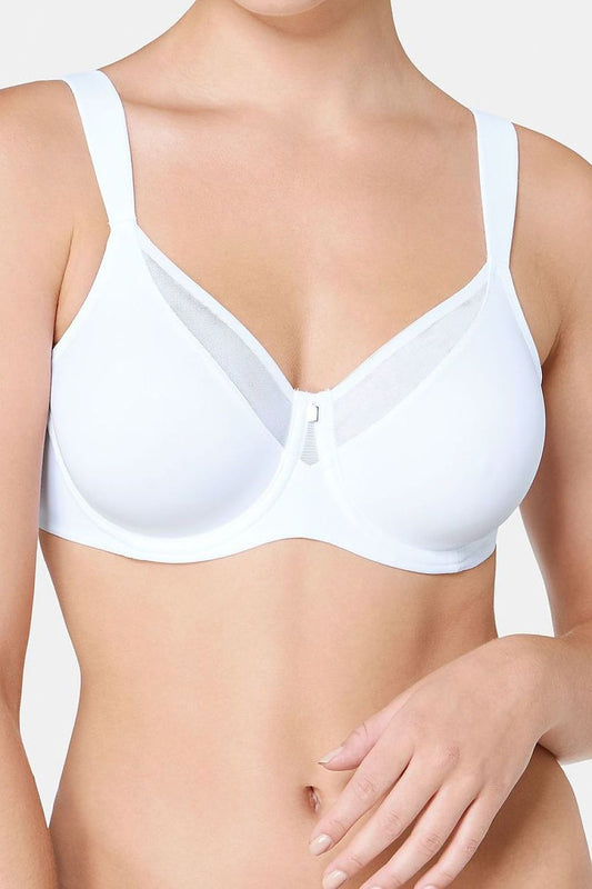  Soft model 229984 Triumph 