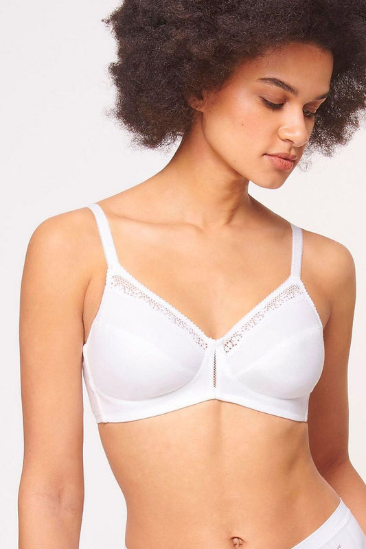  Soft model 230065 Triumph 